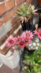 IMG_9632.jpeg