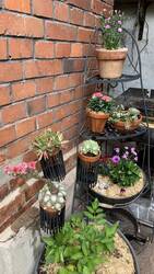 IMG_9633.jpeg