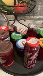 IMG_9636.jpeg