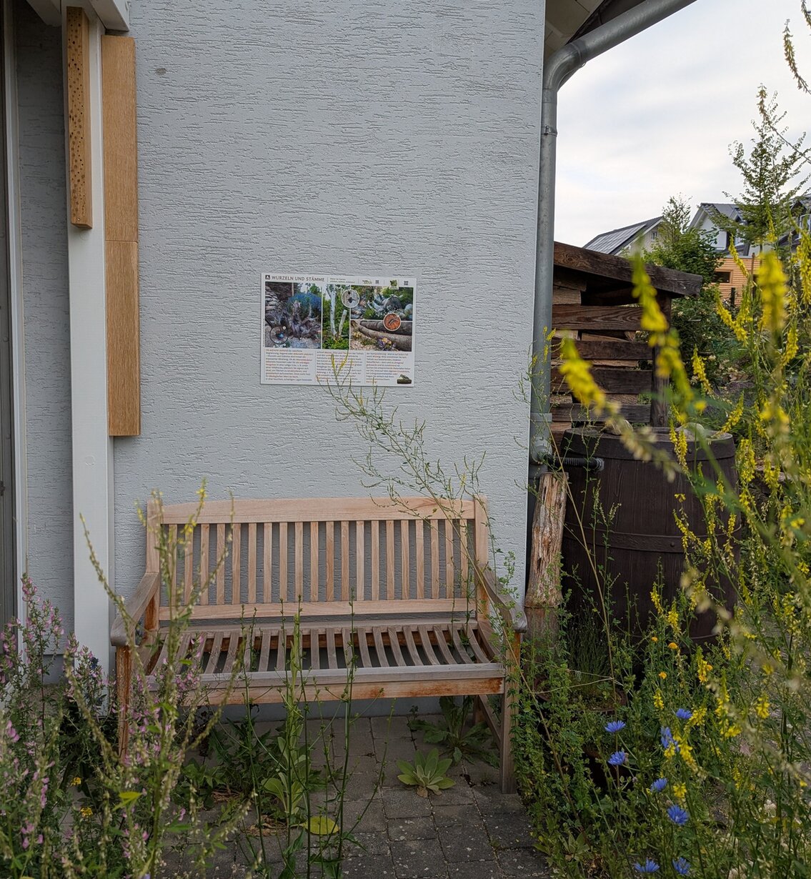 Bild