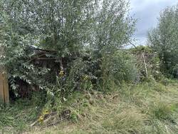 IMG_4527.jpeg