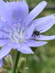 IMG_9658.jpeg