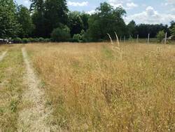 IMG_20250717_140454651.jpg