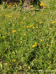 IMG_20250720_113426.jpg