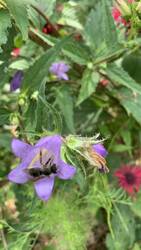 IMG_9722.jpeg