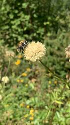 IMG_9727.jpeg