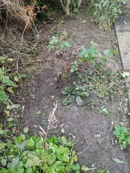 IMG_20250720_152348.jpg