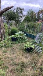 IMG_9743.jpeg