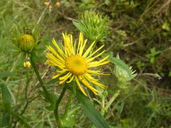 P1000222.JPG