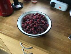 F09A115C-1D6A-44DF-A6C6-325ED1FE2652.jpeg