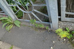 L1022066.JPG