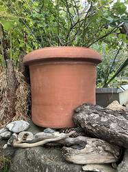 IMG_0743.jpeg