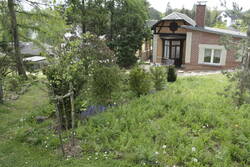 _MG_9398.JPG