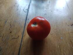 IMG_20250806_200051822.jpg