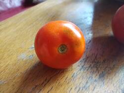 IMG_20250806_200031815.jpg