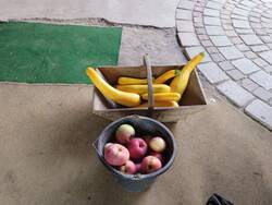 IMG_20250806_183952340.jpg