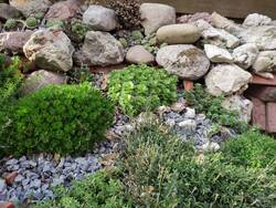 IMG_20250809_174713.jpg