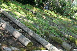 L1022159.JPG