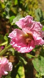 IMG_20250629_090211.jpg