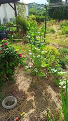 IMG_20250628_103249.jpg