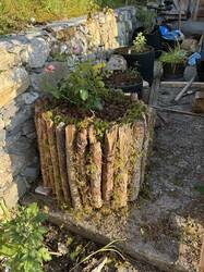 IMG_2903.jpeg