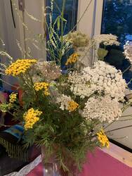 IMG_3816.jpeg