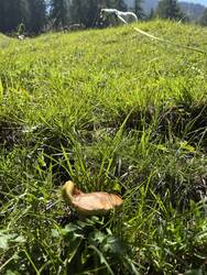 IMG_2992.jpeg