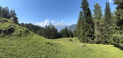 IMG_2994.jpeg