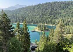IMG_2070.jpeg