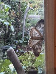 IMG_3027.jpeg