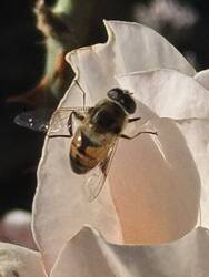 IMG_3047.jpeg