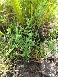 IMG_20250815_122640.jpg