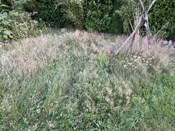 Große Insel