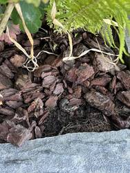 IMG_3083.jpeg