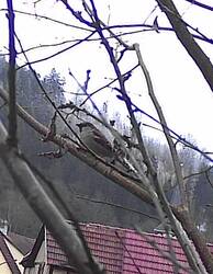 2025-02-06_14.30.14.485_EF40EB98.jpg