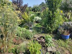 Kräutergarten /Pufferzone