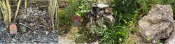Naturmodule mit Bewohnerin