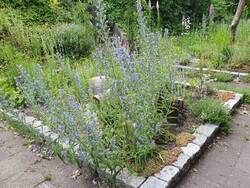 2021-06-19 19.47.07.jpg