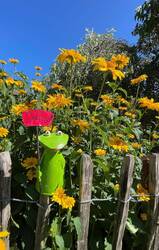 IMG_3173.jpeg