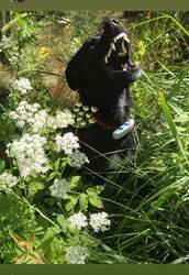 IMG_3175.jpeg
