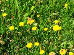 IMG_20250818_114609.jpg