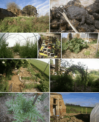 amphipolis.png