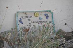 insectorum1.jpg