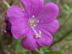 P1000412.JPG