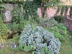 Kräuterspirale mit Tümpelteich