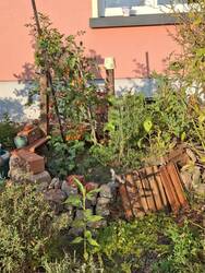 Kleines Hochbeet Ertragszone