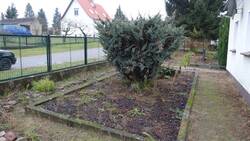 1_SALISCH+SCHEUCH_Rindenmulch-Beet_VORHER.JPG