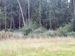 IMG_20250829_122039.jpg