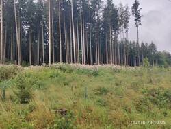 IMG_20250829_100509.jpg