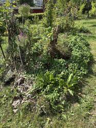 IMG_9392.jpeg